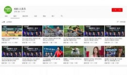 英媒爆料网友视频下载,网友视频下载背后的秘密曝光！