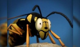 昆虫类爆料视频,揭秘昆虫类爆料视频中的奇妙瞬间